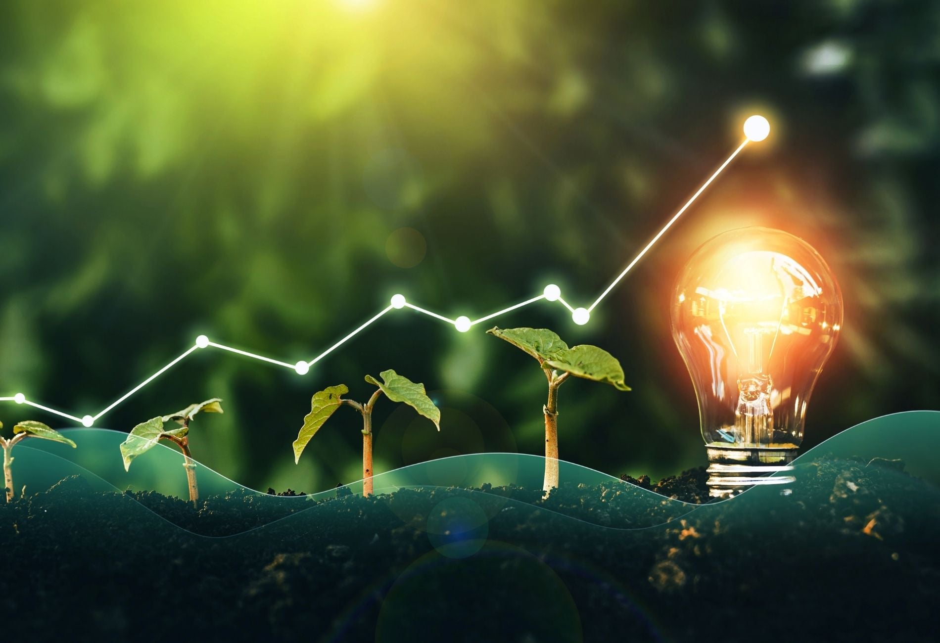 MBA RSE Performance des Organisations 2