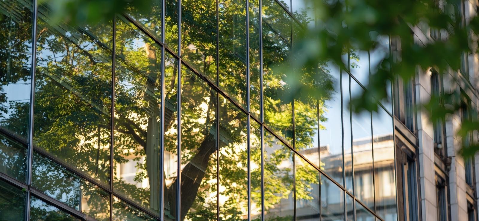 Demande-de-Brochure-RSE-Stratégie-Business-impact